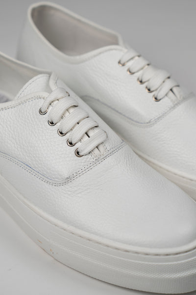 Sneakers SNEAK
